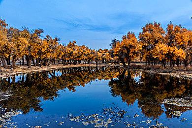 崩坏星穹铁道预抽卡选什么好？崩坏星穹铁道群星邀约奖励选择推荐